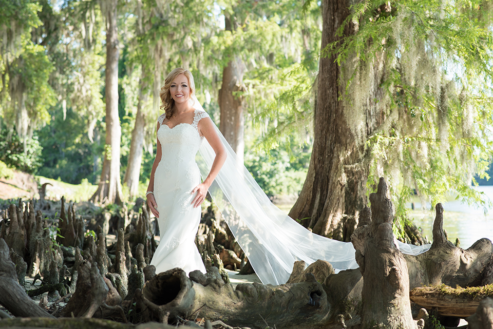 Beautiful bride at Wachesaw Plantation in the Cypress tree knots