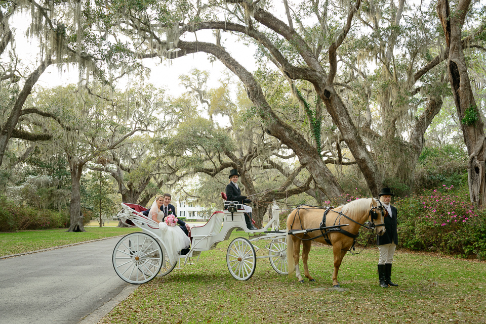 bride and groom pose with their horse drawn carriage for Litchfield Wedding portraits